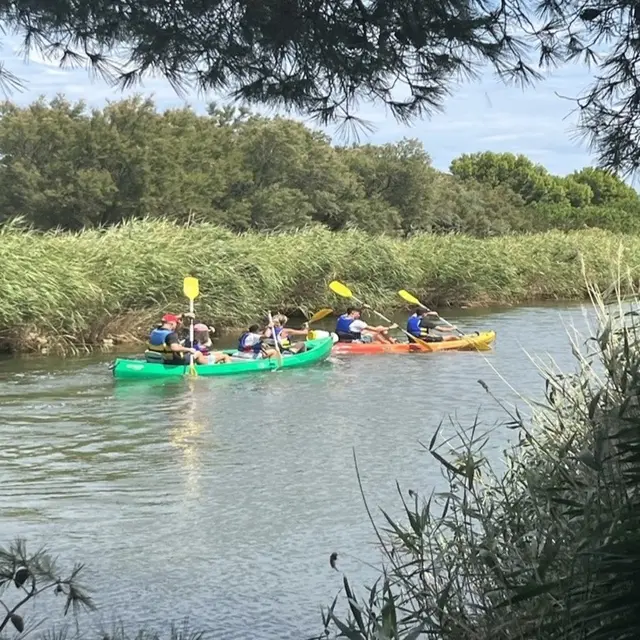 TORREILLES LOI BASE NAUTIQUE PARROUDE