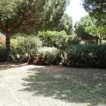 STE MARIE CAMPING CHARDONNERETS