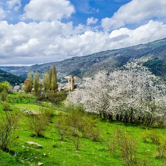 Vue sur Prats Balaguer et le haut-Conflent_1