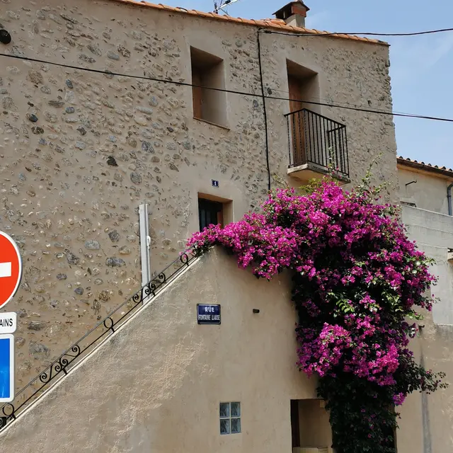 maison extérieure