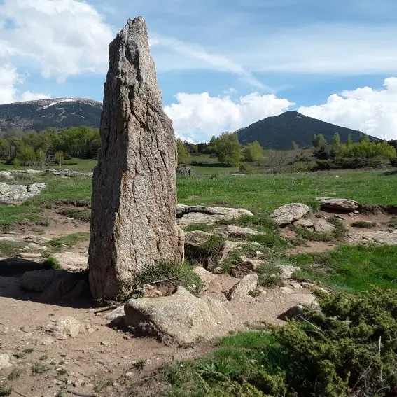 Menhir del Port_1