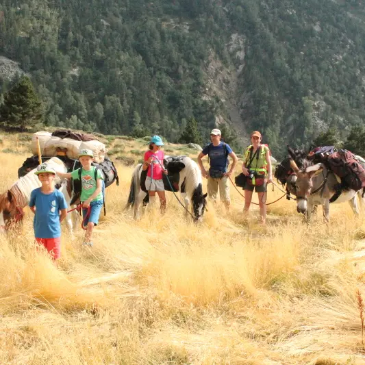 montagne vibration 2