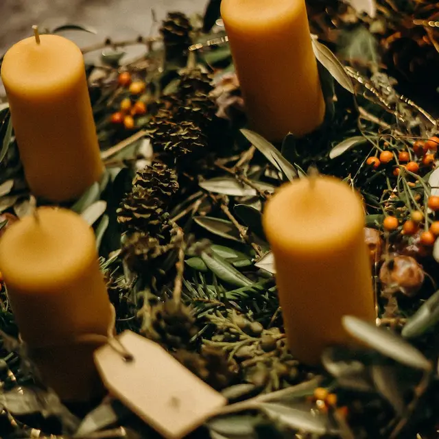 pexels-cottonbro-studio-4542986