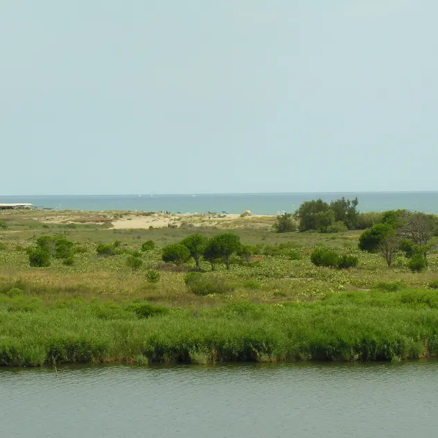 TORREILLES LOI PLAGE SUD