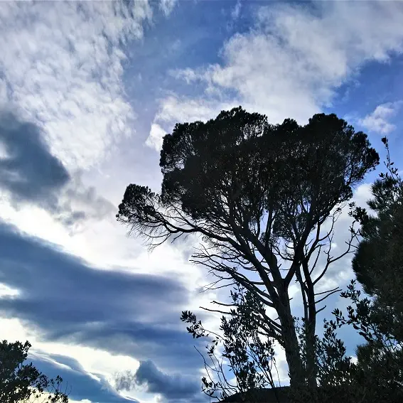 Vue sur le Pi del Rei_1