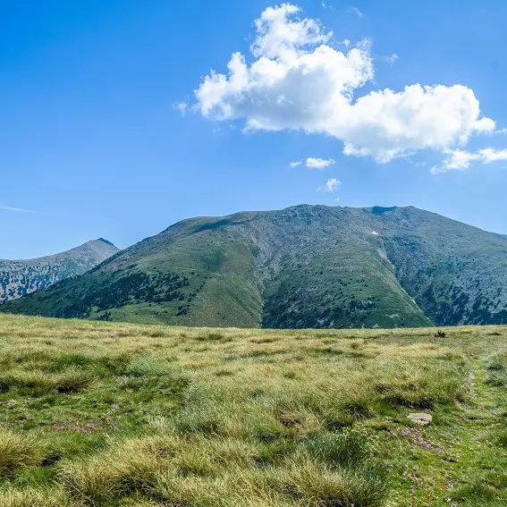 Le Pla Guillem et le Pic dels Set Homes_1