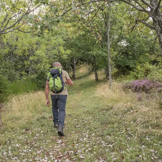 randonnne_roc_de_france_randonneur_13