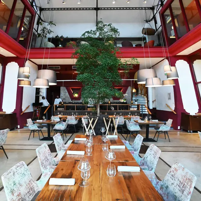 salle_restaurant_riberach_la_cooperative_belesta_web