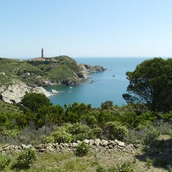 SENTIER LITTORAL CAP BEAR