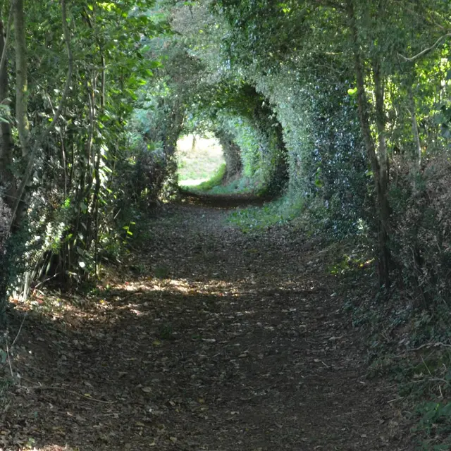 sentier St Roch - Menomblet - 85