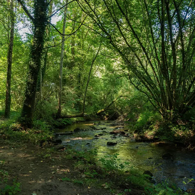 sentier-du-ruisseau-Lassay