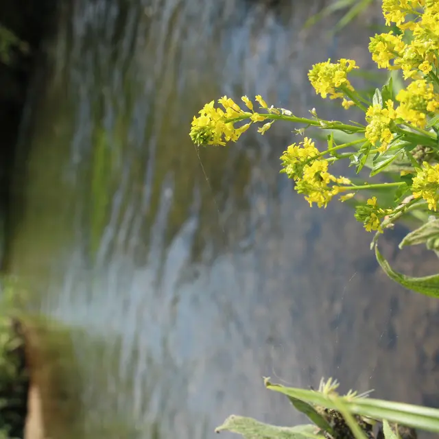 @OTVBA-Avril2019-Nature (3)