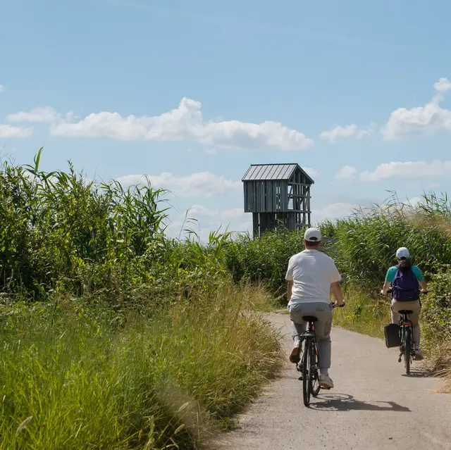 2024_vélo et Lavau-sur-Loire (32)