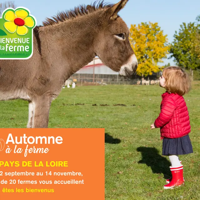 2025_AUTOMNE BAF - Facebook Post - 1
