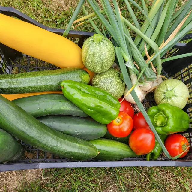 Le jardin de la butt’ à vent