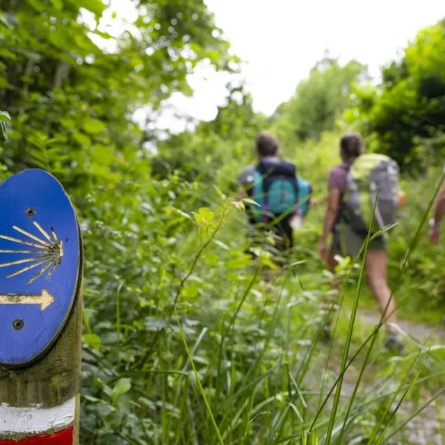 thumbnail_MARCHEURS COQUILLE COMPOSTELLE