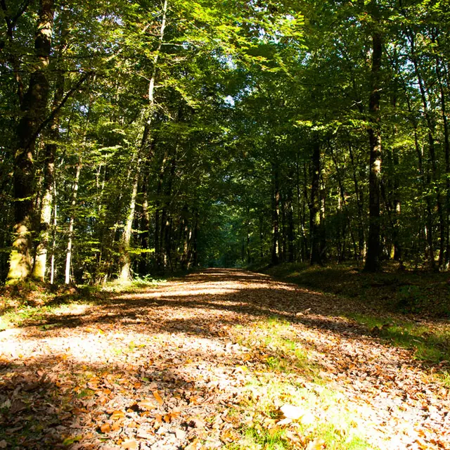 vallee-de-la-sarthe-Chemin-ITI-72