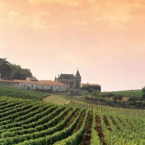 Appellations viticoles