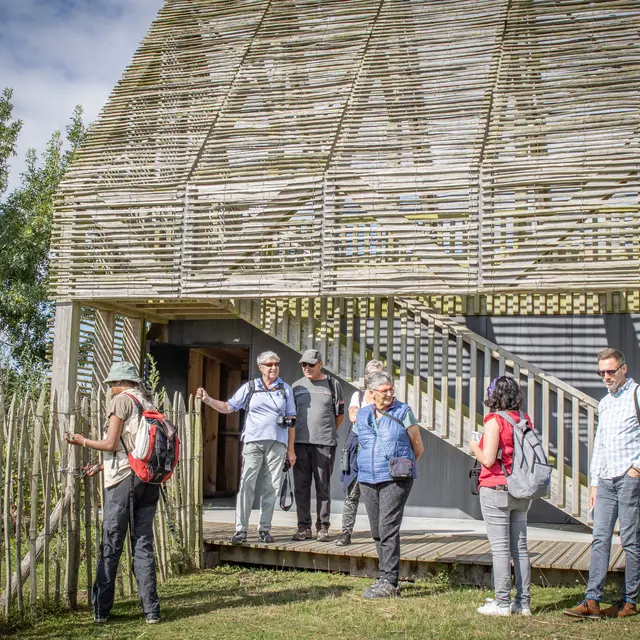 Visite réserve ornithologique Pierre Constant Brière