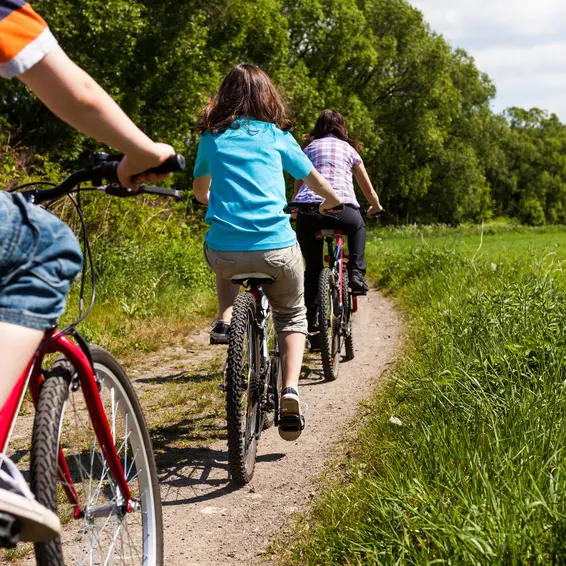 A vélo au Pays de La Châtaigneraie