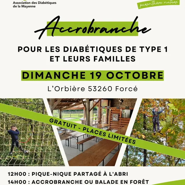 Affiche DT1 - Accrobranche