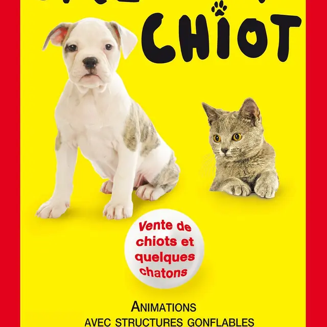 Affiche-1