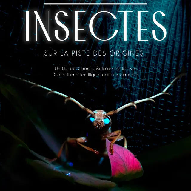 Affiche Mystérieux insectes, sur la piste des origines