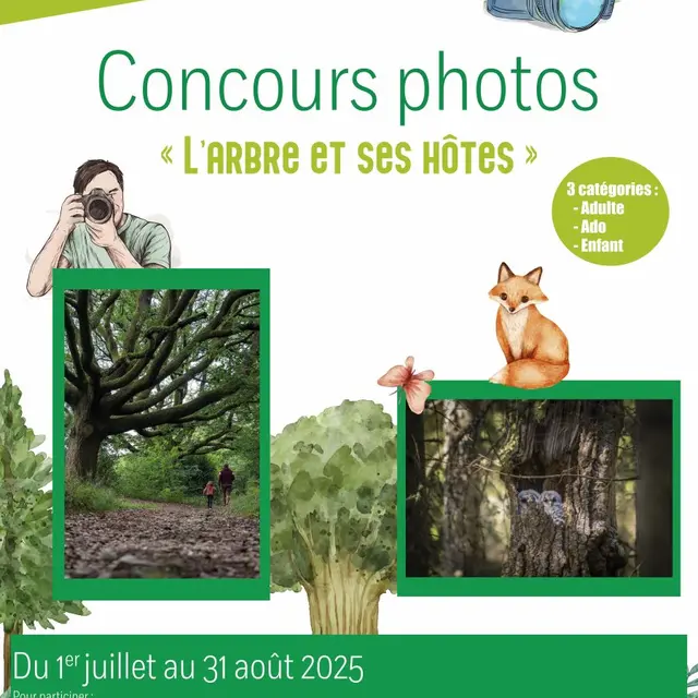 Affiche Concours - Pays de la Châtaigneraie