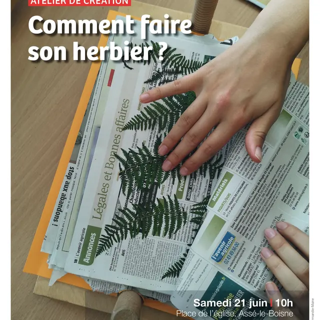 Atelier ABC HSAM Comment faire son herbier Assé le Boisne 21 06