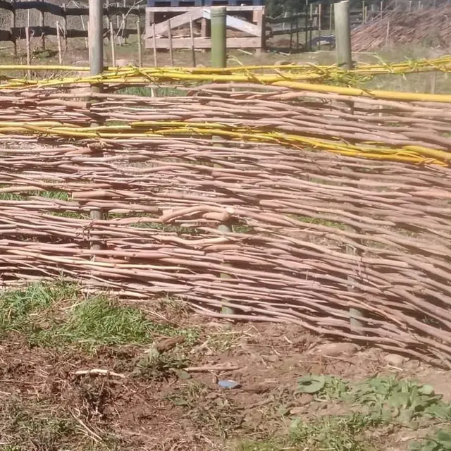 Fabrication d'une haie sèche