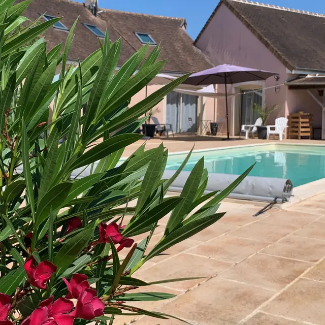 Aux Instants Partagés - Fontenay sur vegre Gite piscine 2