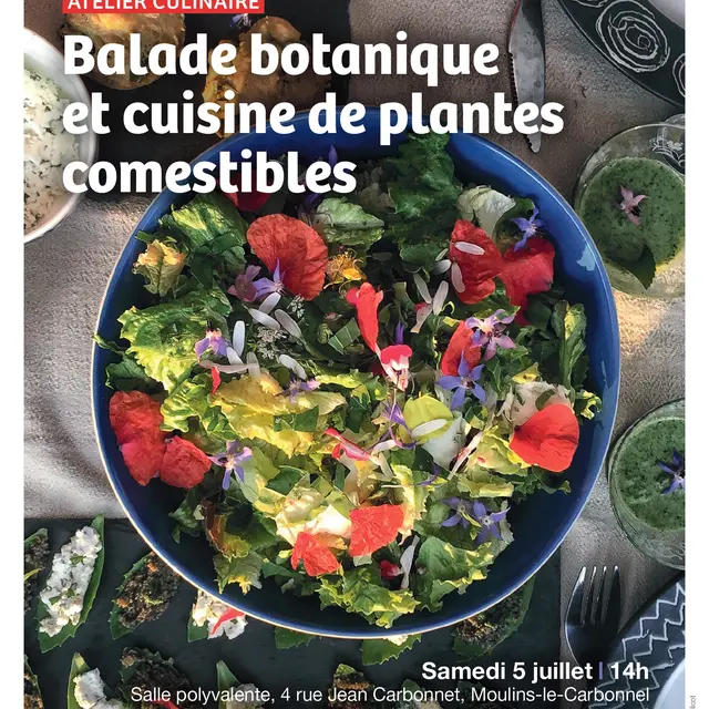 Balade Botanique ABC HSAM 5 07