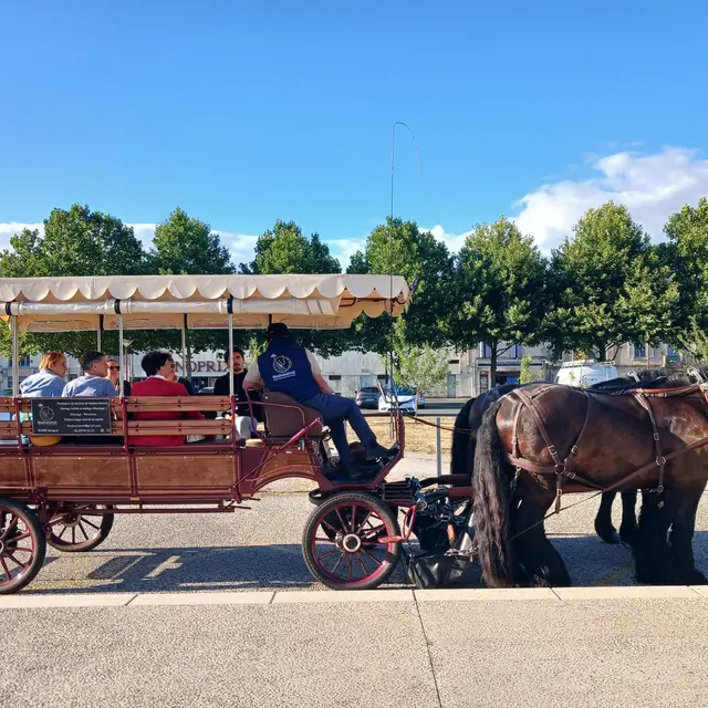 Balade en calèche (8)