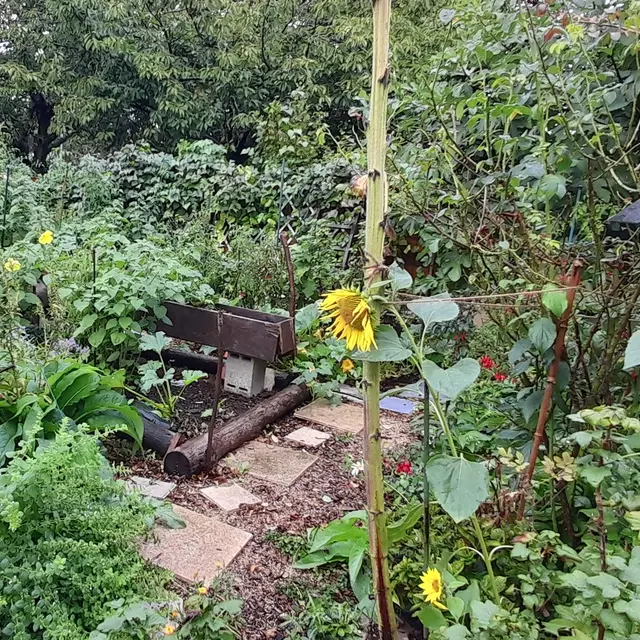 Jardin Mme Binet