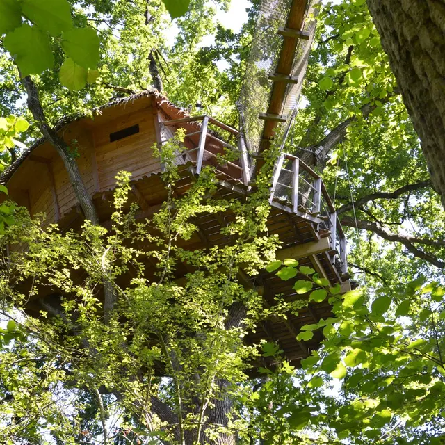Cabane perchee