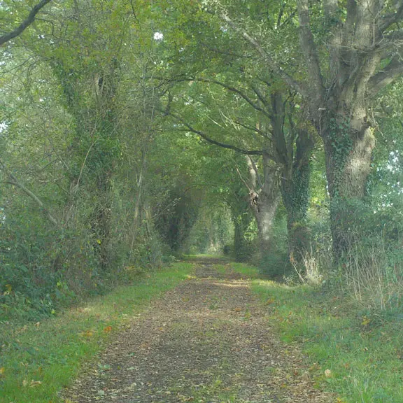 Chemin-randonnée-mézeray-iti72