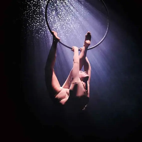 Cirque Danse Paradisum fontenay-le-comte 2026