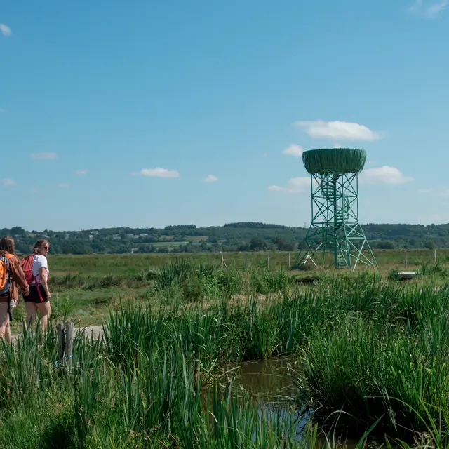 Nid-Observatoire du Marais du Syl