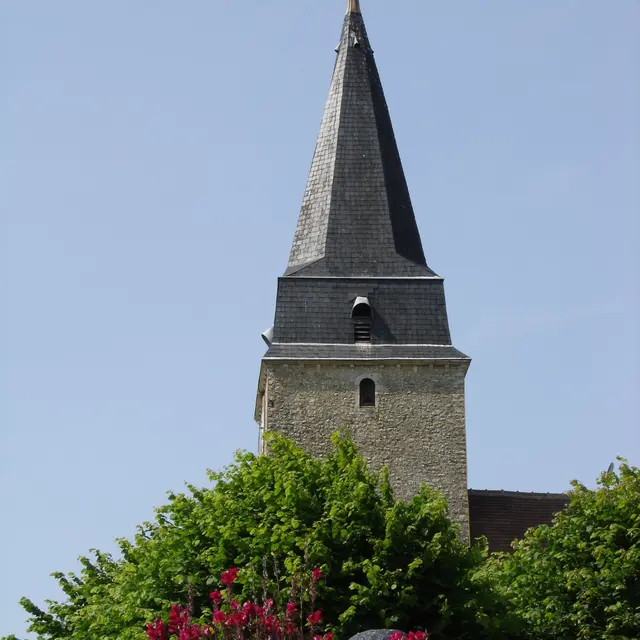 DSC00985