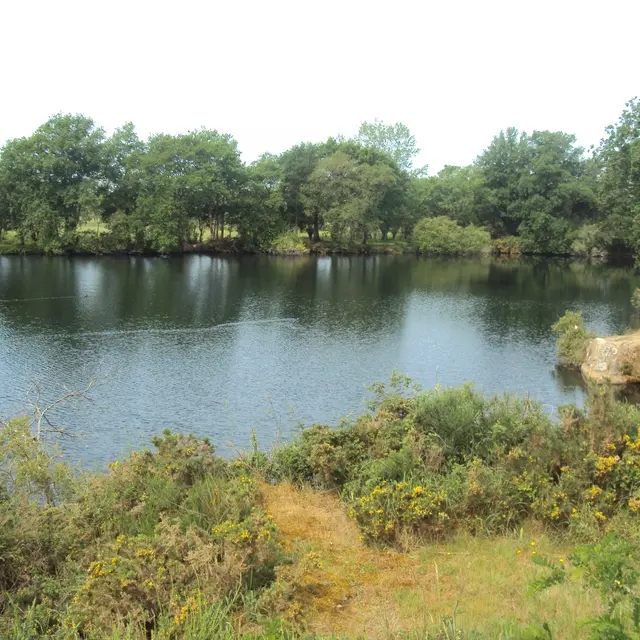 DSC02105
