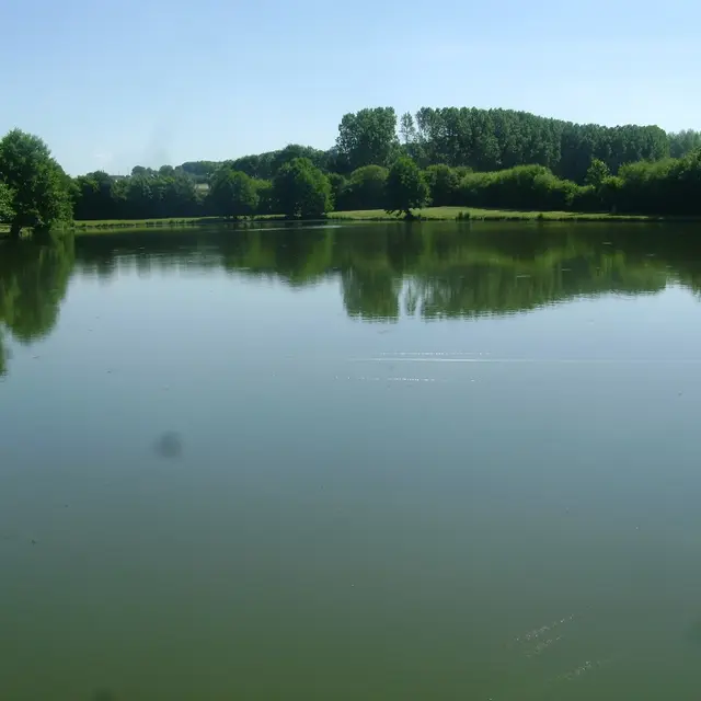 DSC07697