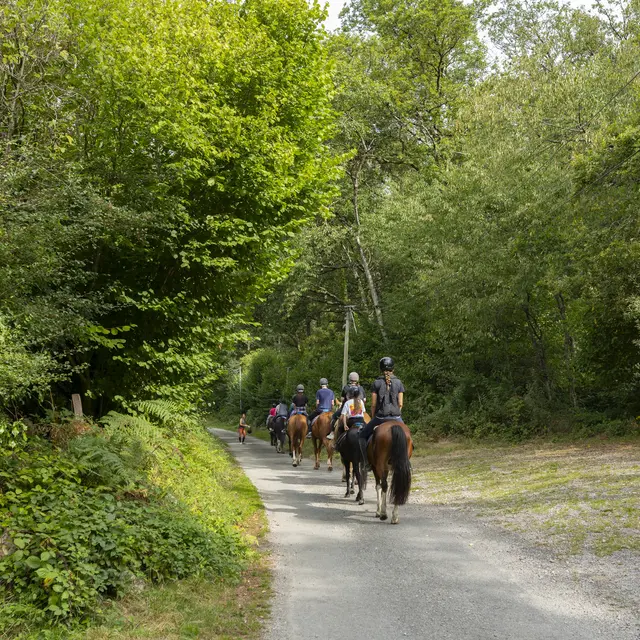Équitation dans les Alpes Mancelles
