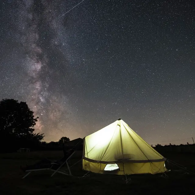 Etoiles Sauzereau - la Chapelle aux Lys - 85