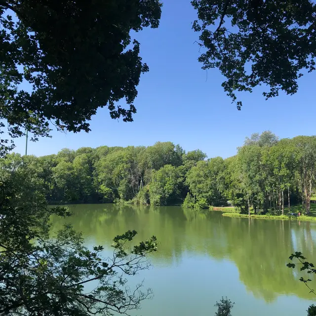 Etang de la vannerie  trail - Fours à chaux