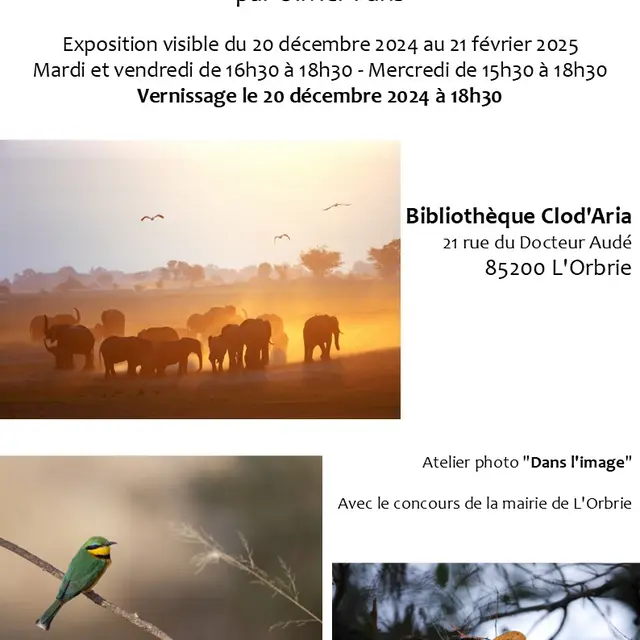 Expo Faune Africaine L'Orbrie