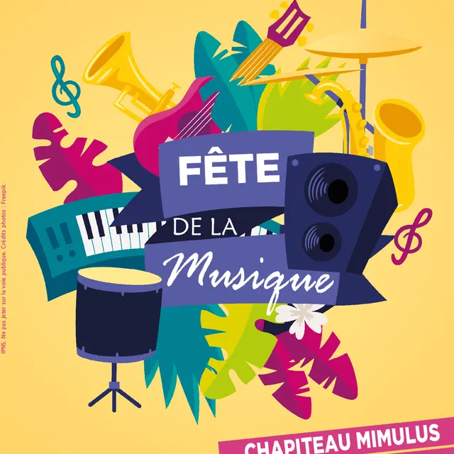 Fête de la musique Fresnay 21 06
