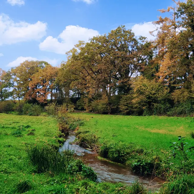 Fougerolles du plessis claire fontaine - 62