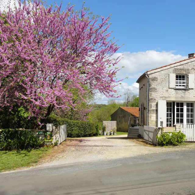 Le Lavoir_2