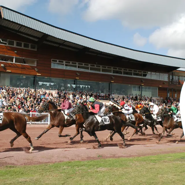 Hippodrome - PMU Cordemais P36
