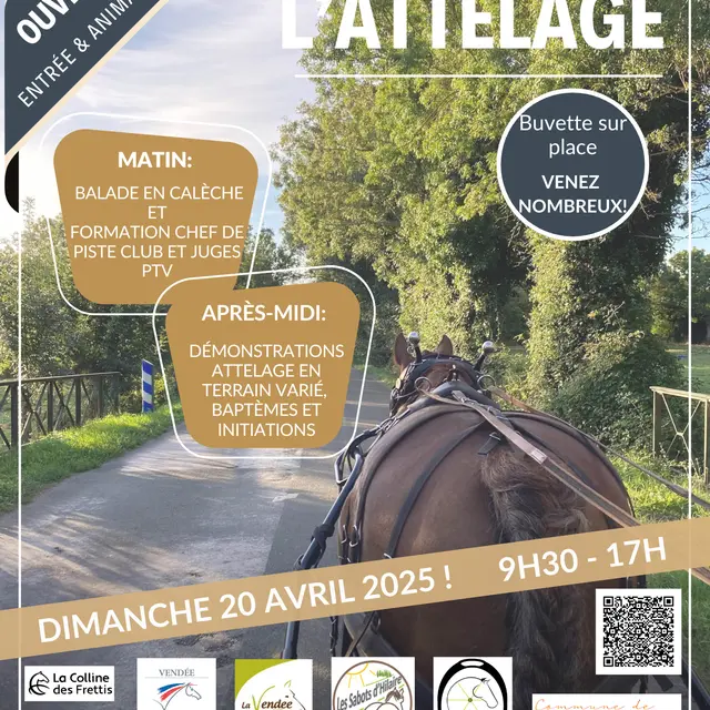 Journée de l'attelage - 1